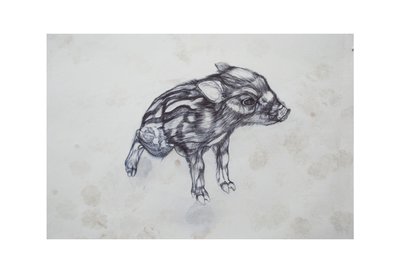Little Pig by Lou Gibbs