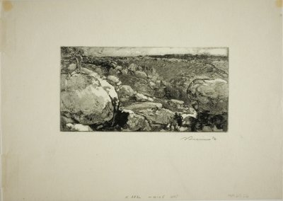 The Circus of Long-Rocher by Louis Auguste Lepère
