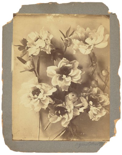 Tiffany Studios by Louis Comfort Tiffany
