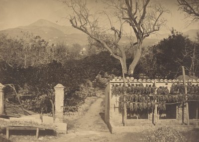 Agricultural Scene with Mountains, 1850s by Louis Crette
