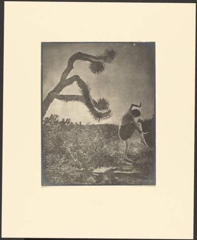 Apache Dance by Louis Fleckenstein