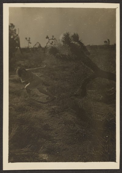 Bogey Man of the Desert by Louis Fleckenstein