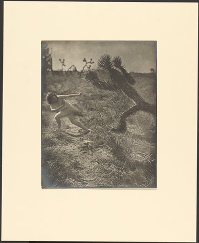 Bogey Man of the Desert by Louis Fleckenstein