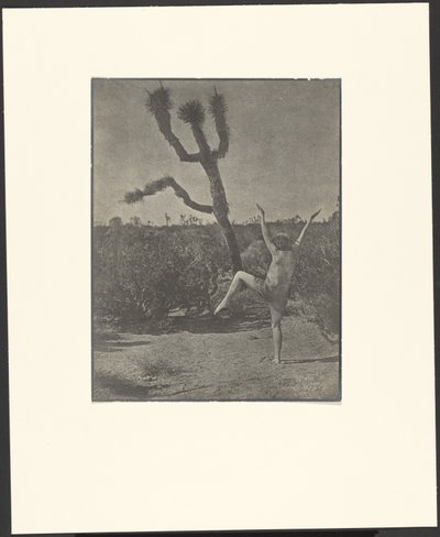 Dancing Master by Louis Fleckenstein
