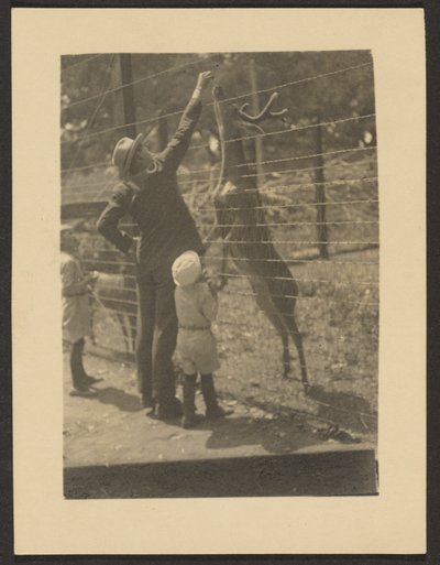 Feeding Deer by Louis Fleckenstein