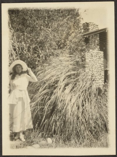 Florence and Wild Grass by Louis Fleckenstein