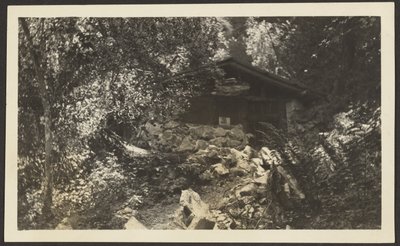 Forest Lodge by Louis Fleckenstein