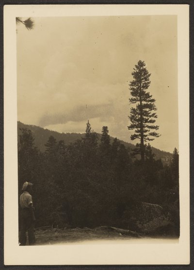 Idyllwild by Louis Fleckenstein