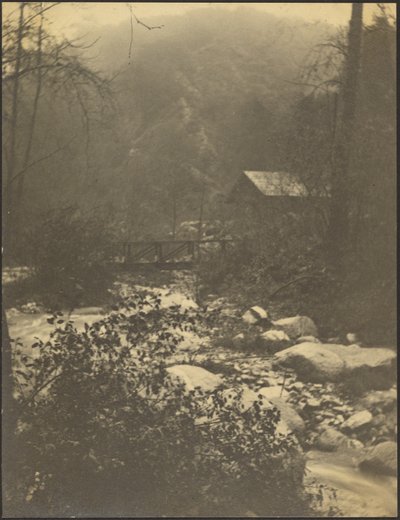 In the Little Santa Anita Canyon by Louis Fleckenstein