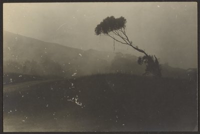 Laguna Beach by Louis Fleckenstein