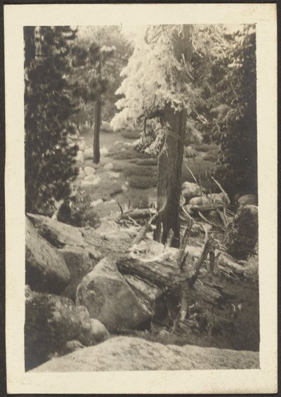 Landscape by Louis Fleckenstein