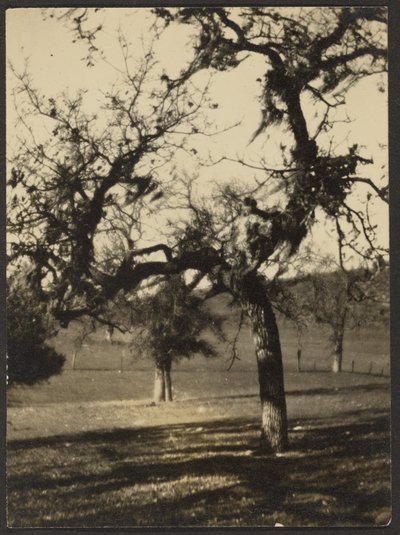 Landscape by Louis Fleckenstein