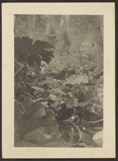 Landscape by Louis Fleckenstein
