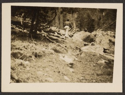 Landscape by Louis Fleckenstein