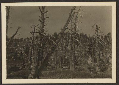 Landscape by Louis Fleckenstein