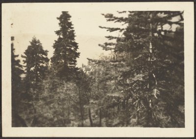 Landscape by Louis Fleckenstein
