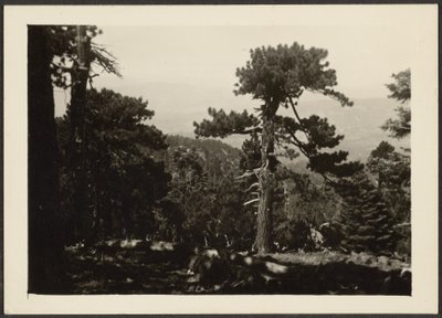 Landscape by Louis Fleckenstein