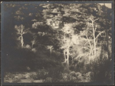 Landscape by Louis Fleckenstein