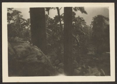 Landscape by Louis Fleckenstein