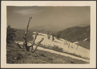 Landscape by Louis Fleckenstein