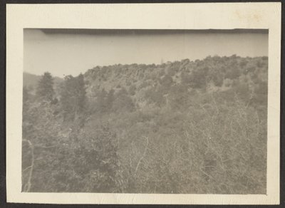 Landscape with Shrubs by Louis Fleckenstein