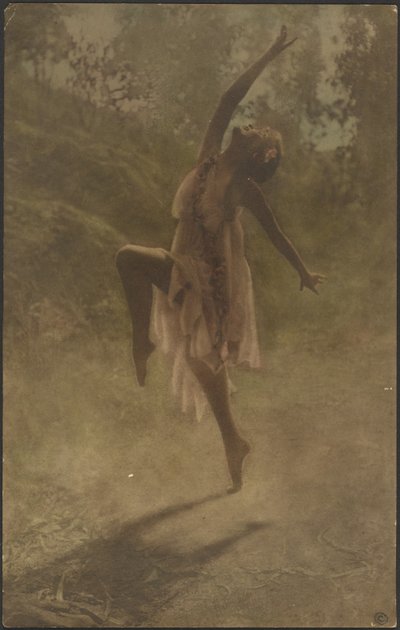 Rose Dance of the South by Louis Fleckenstein