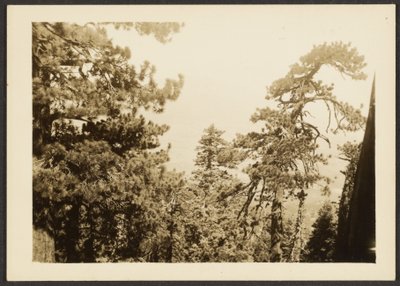 Santa Rosa Peak by Louis Fleckenstein
