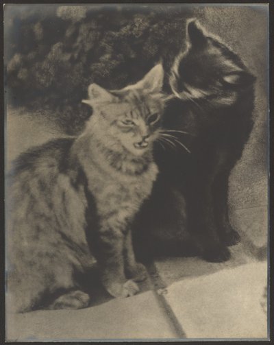 The Serenaders by Louis Fleckenstein