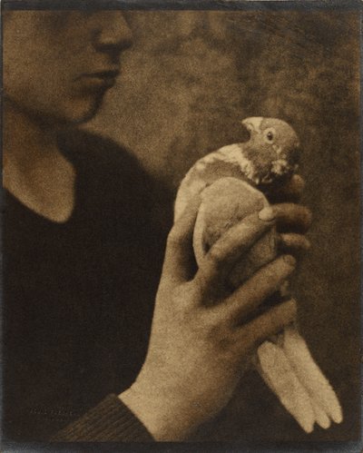 The Weary Messenger by Louis Fleckenstein