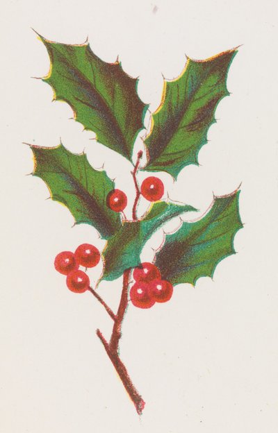Holly by Louis Prang
