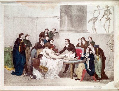 The Anatomy Lesson by Louis Thomas Bardel