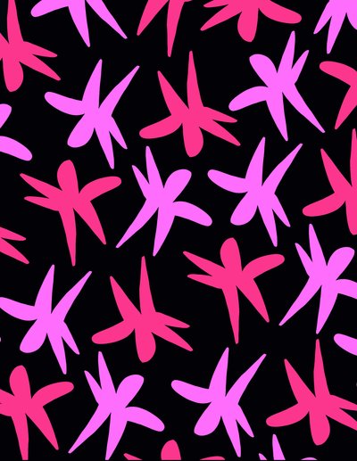 Flower Stars by Louisa Hereford