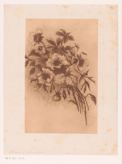 Flowers by Louise Elsen (attributed to)