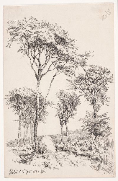 Forest Landscape with Freestanding Trees by Louise Ravn Hansen