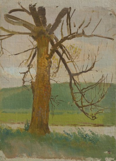 Tree by the River by Laszlo Mednyanszky