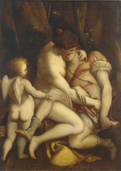 Venus and Adonis by Luca Cambiaso