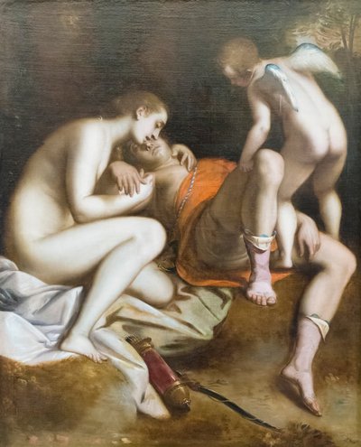 Venus Mourning the Death of Adonis by Luca Cambiaso