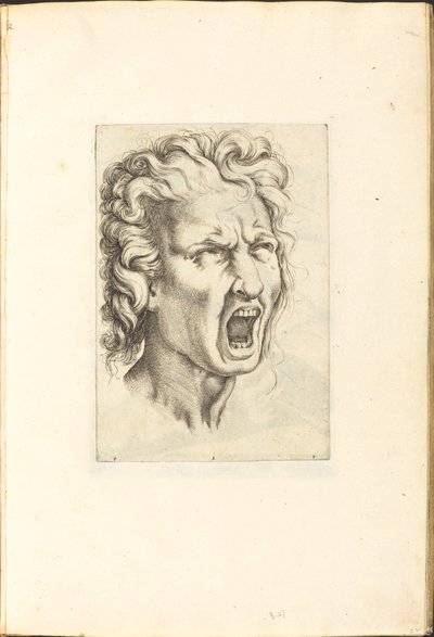 Print from Drawing Book by Luca Ciamberlano