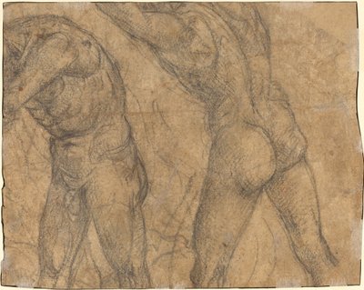 Two Nude Figures by Luca Signorelli