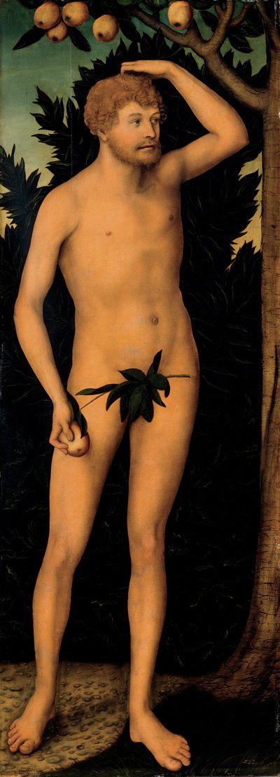 Adam by Lucas Cranach the Elder