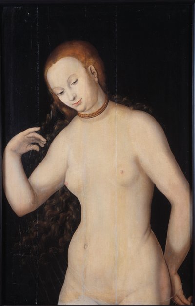 Venus by Lucas Cranach the Elder