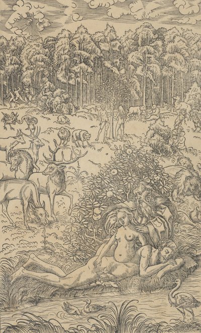The Creation of Eve by Lucas Cranach the Younger  