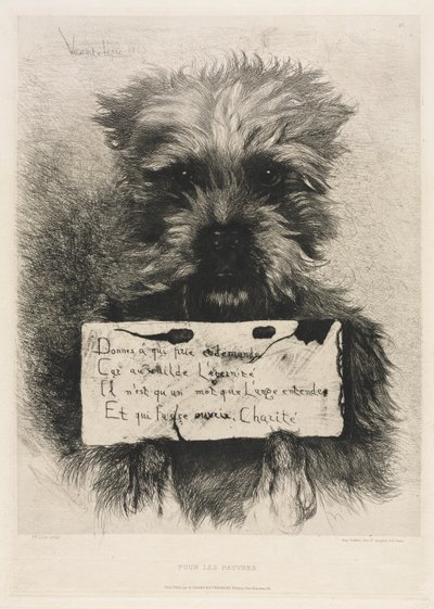 For the Poor by Ludovic Napoléon, Vicomte Lepic