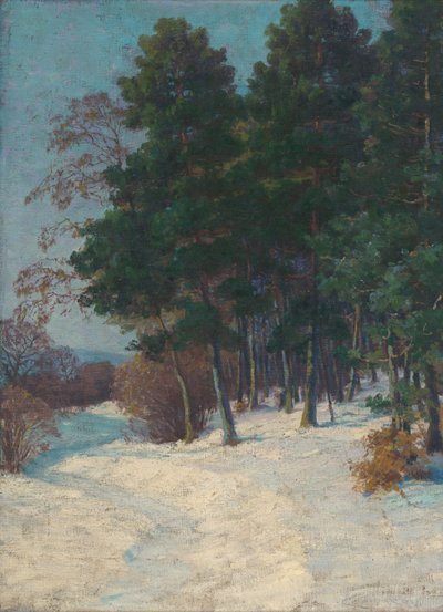 Forest in Winter by Ludovit Cordak