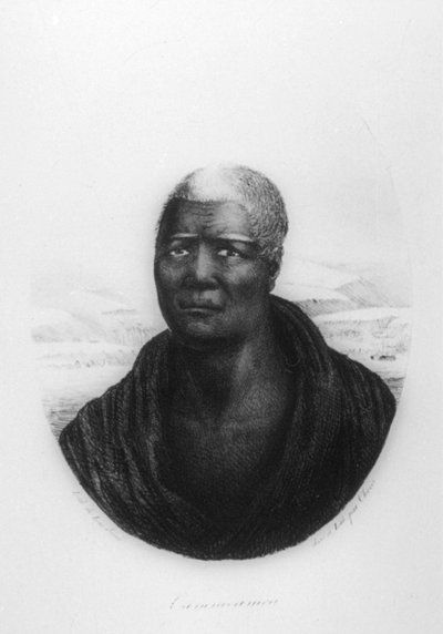 Kamehameha I, Hawaii by Ludwig Choris