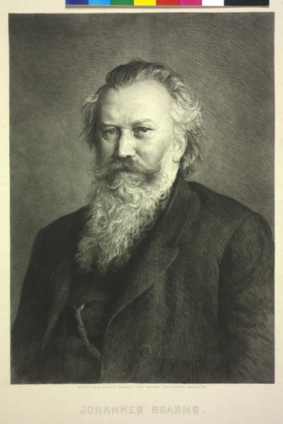 Johannes Brahms by Ludwig Michalek
