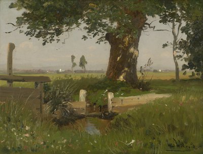 Summery Meadow Landscape in Carinthia by Ludwig Willroider