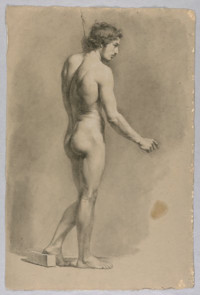 Male Nude by Luigi Calamatta