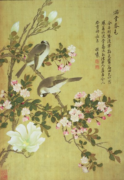 Crabapple, Magnolia and Baitou Birds by Ma Yuanyu