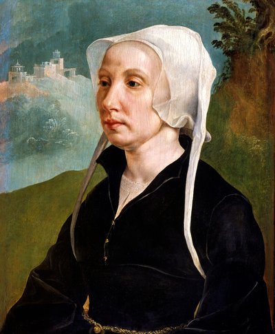 Portrait of a Woman by Maerten van Heemskerck